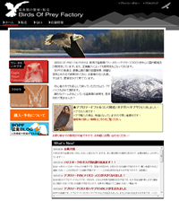 BIRDS OF PREY FACTORY